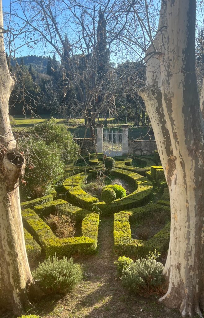 jardin buis